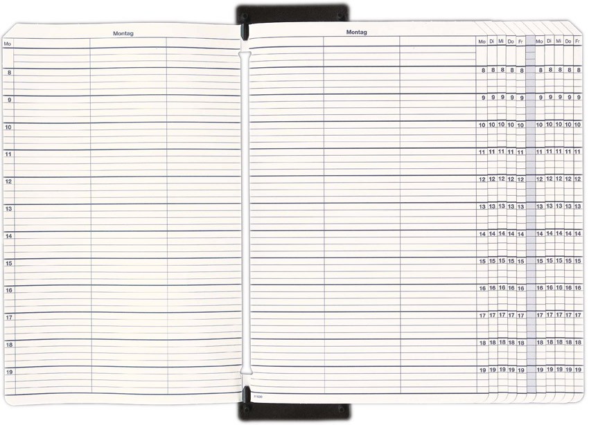 49316302TXDBvn0MisMai Termineinheit, (System Breit),  6 Spalten, 8:00-20:00 Uhr