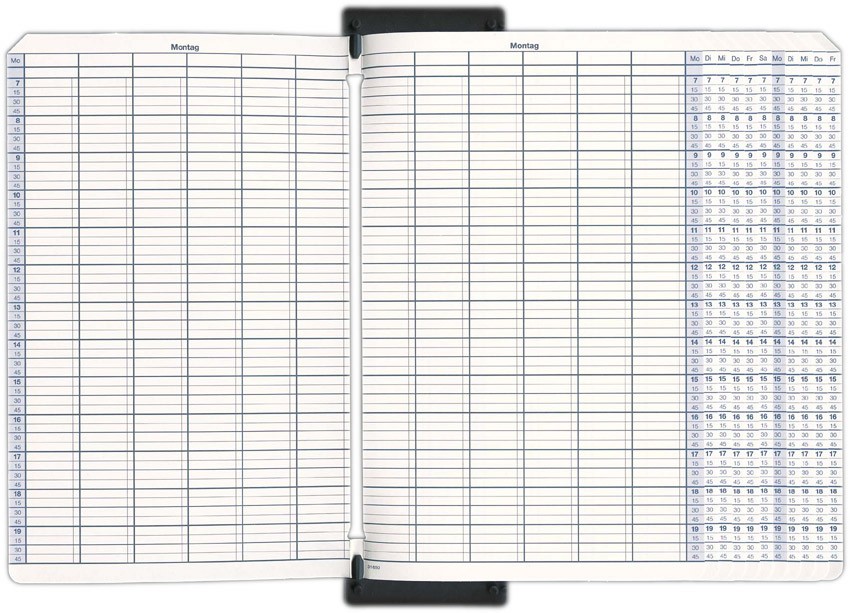 493165027DVV4nd36WH3M Termineinheit, (System Breit), 12 Spalten, 7:00-20:00 Uhr